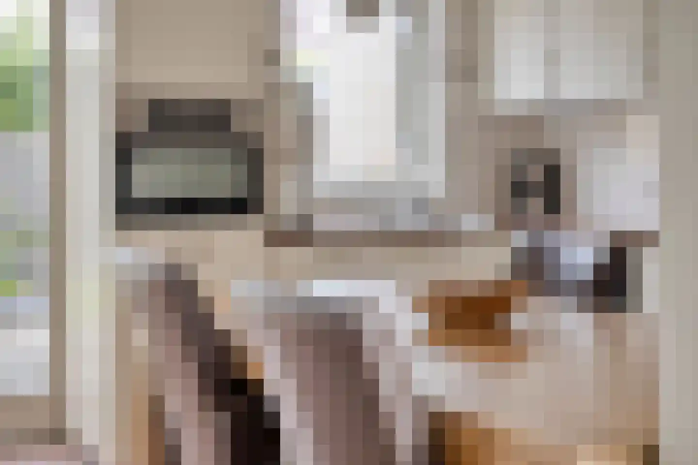 Schout Leytengaarde 52 Nuenen thumbnail 15