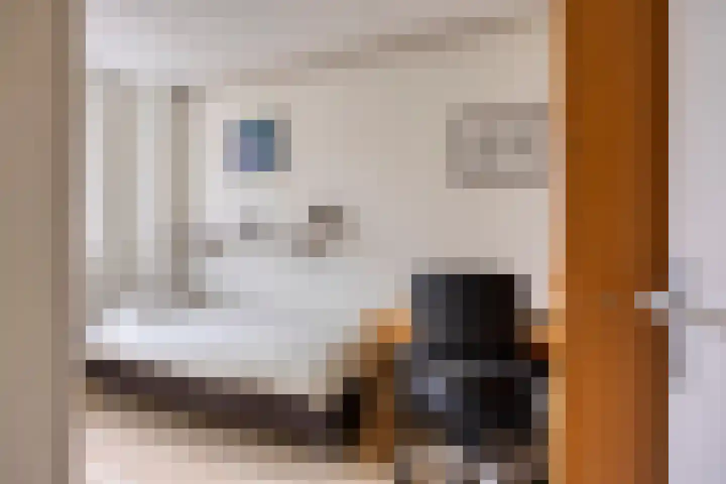 Schout Leytengaarde 52 Nuenen thumbnail 29