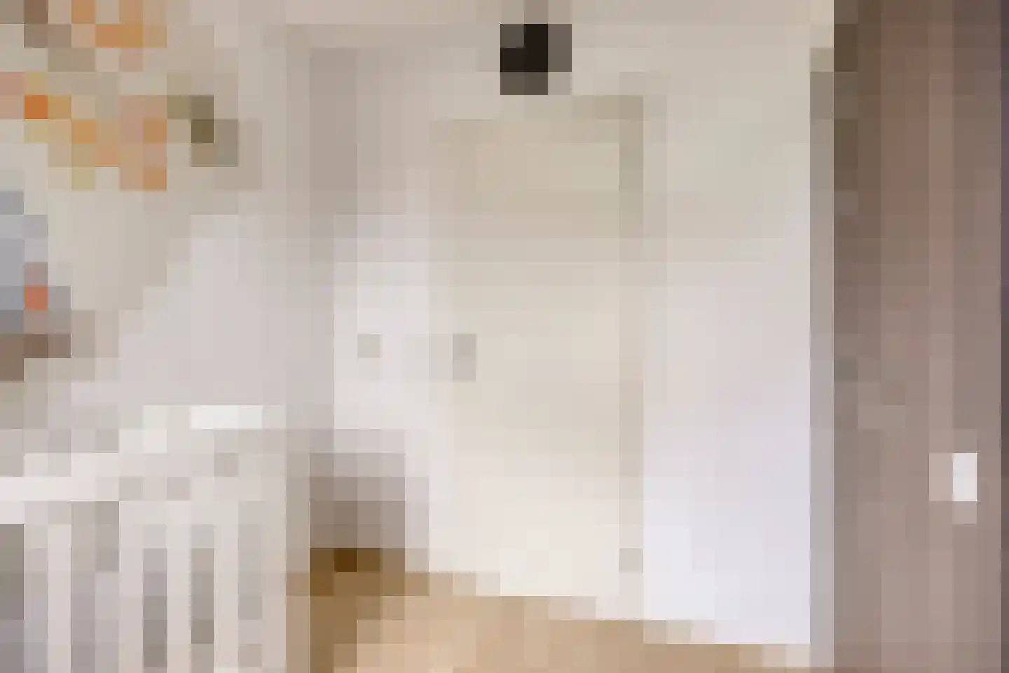 Schout Leytengaarde 52 Nuenen thumbnail 33