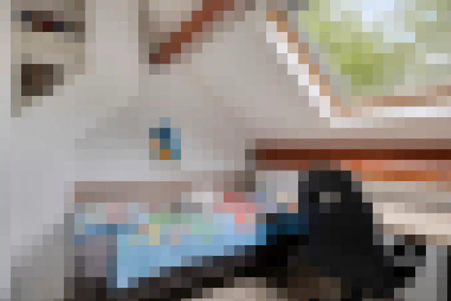 Schout Leytengaarde 52 Nuenen thumbnail 41
