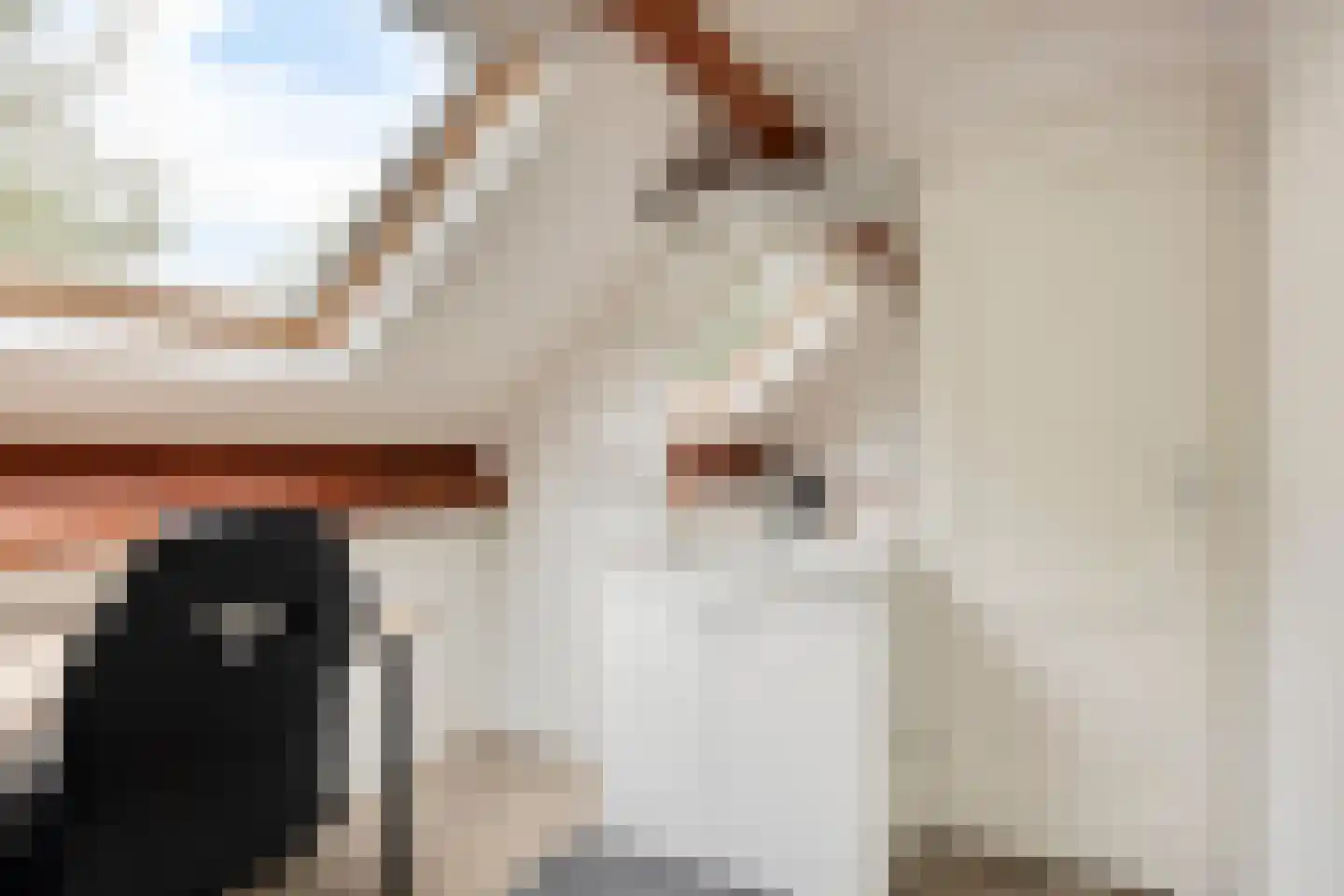Schout Leytengaarde 52 Nuenen thumbnail 42