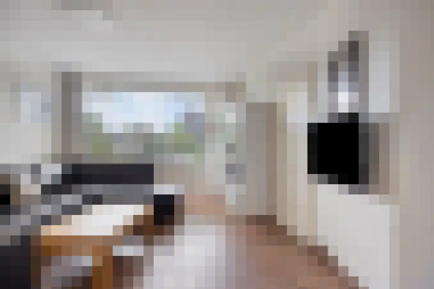 Schout Leytengaarde 52 Nuenen thumbnail 9