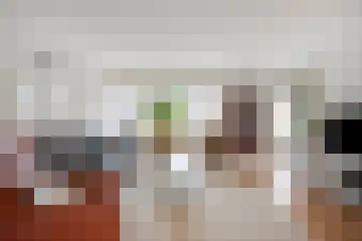 Schout Lieshoutstraat 13 Vlijmen thumbnail 10