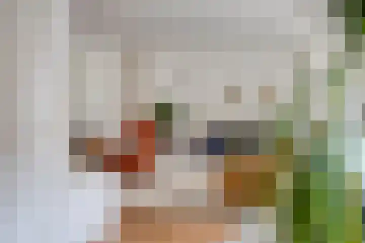 Schout Lieshoutstraat 13 Vlijmen thumbnail 12