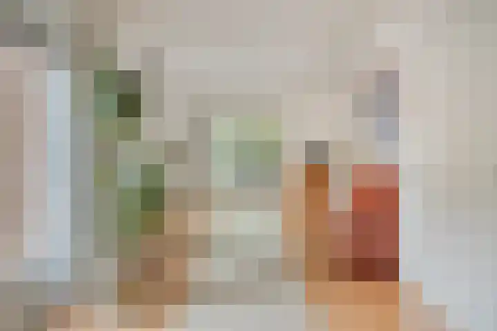 Schout Lieshoutstraat 13 Vlijmen thumbnail 13