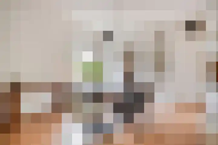 Schout Lieshoutstraat 13 Vlijmen thumbnail 14