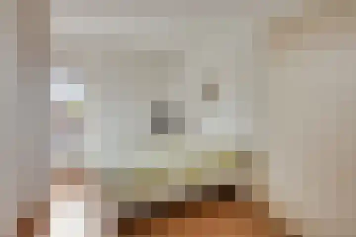 Schout Lieshoutstraat 13 Vlijmen thumbnail 27