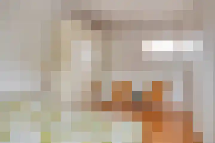 Schout Lieshoutstraat 13 Vlijmen thumbnail 28