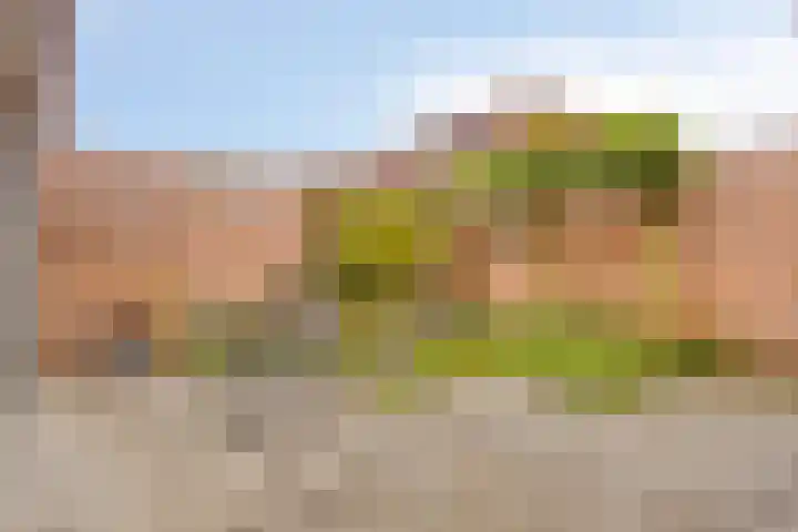 Schout Lieshoutstraat 13 Vlijmen thumbnail 34