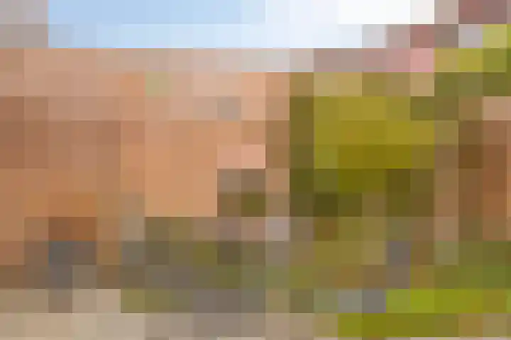 Schout Lieshoutstraat 13 Vlijmen thumbnail 36