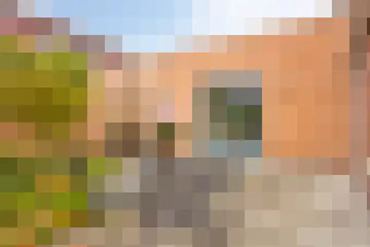 Schout Lieshoutstraat 13 Vlijmen thumbnail 37