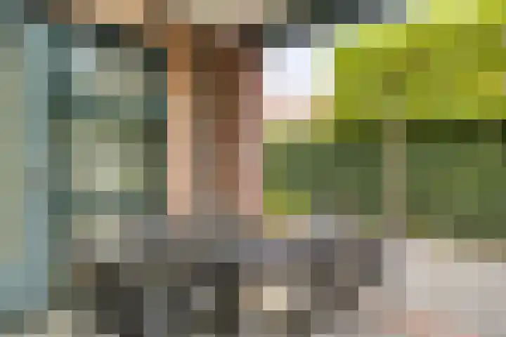 Schout Lieshoutstraat 13 Vlijmen thumbnail 38