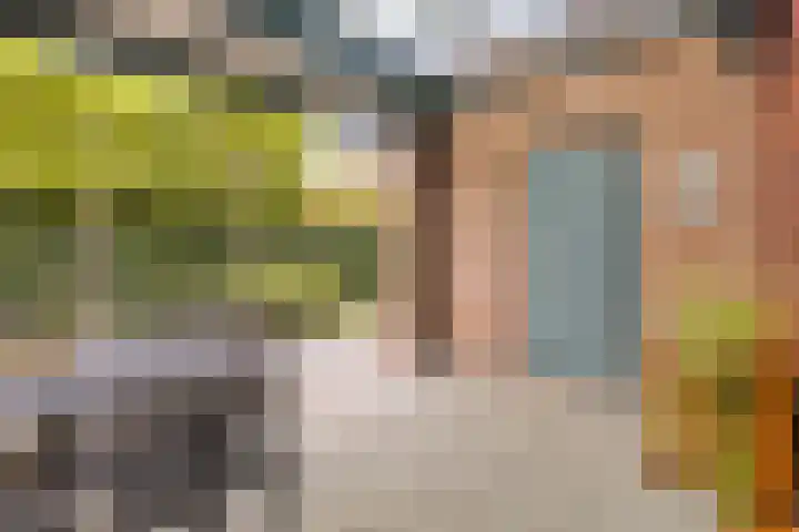 Schout Lieshoutstraat 13 Vlijmen thumbnail 39
