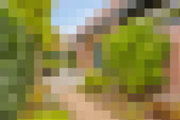 Schout Lieshoutstraat 13 Vlijmen thumbnail 40