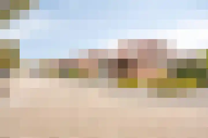 Schout Lieshoutstraat 13 Vlijmen thumbnail 42