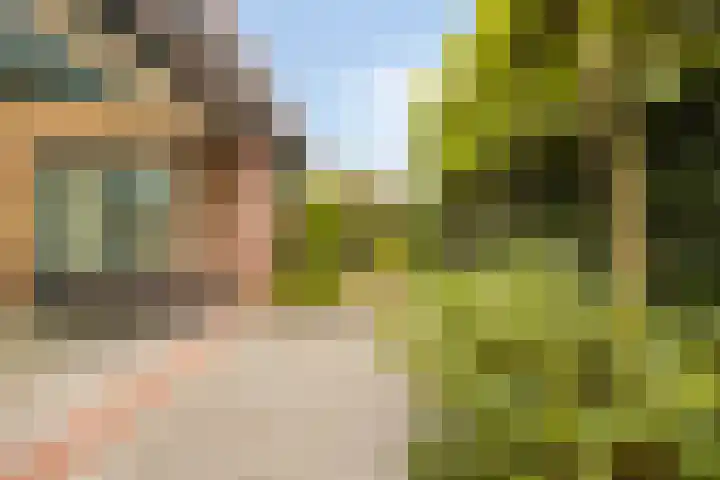 Schout Lieshoutstraat 13 Vlijmen thumbnail 5
