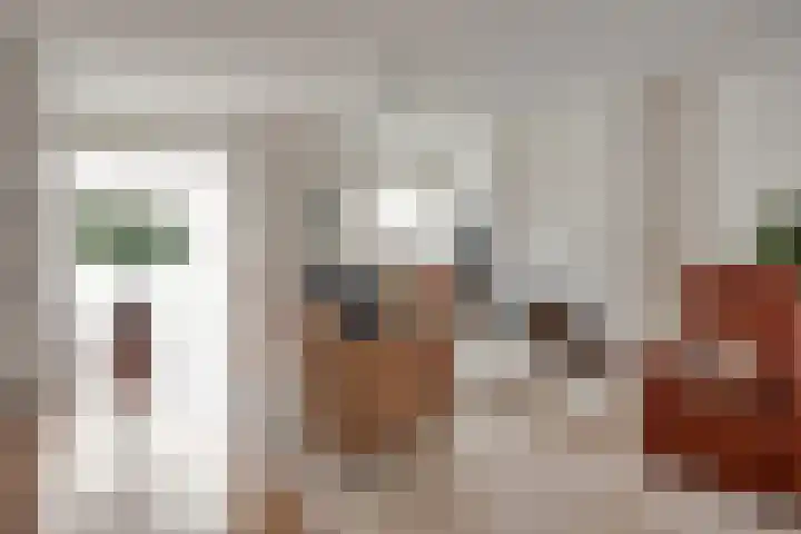 Schout Lieshoutstraat 13 Vlijmen thumbnail 7