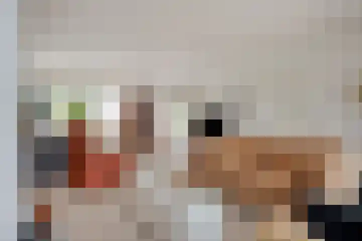 Schout Lieshoutstraat 13 Vlijmen thumbnail 8