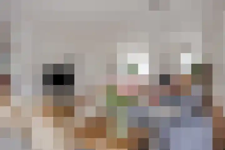 Schout Lieshoutstraat 13 Vlijmen thumbnail 9