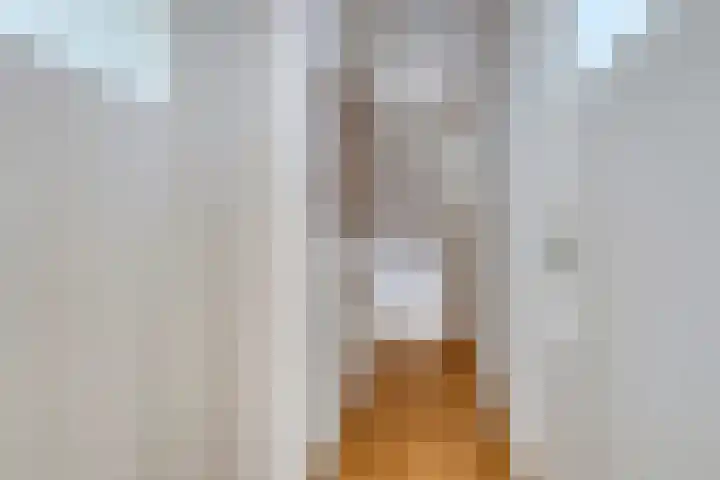 Schout Offermanstraat 3 Roermond thumbnail 16