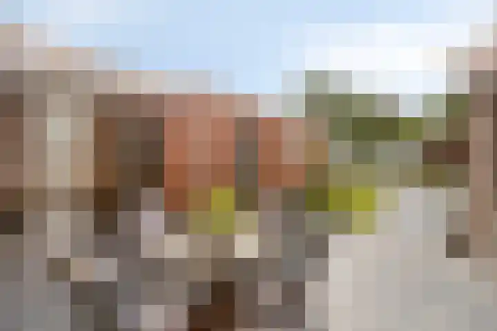 Schout Offermanstraat 3 Roermond thumbnail 30