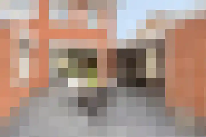 Schout Offermanstraat 3 Roermond thumbnail 31