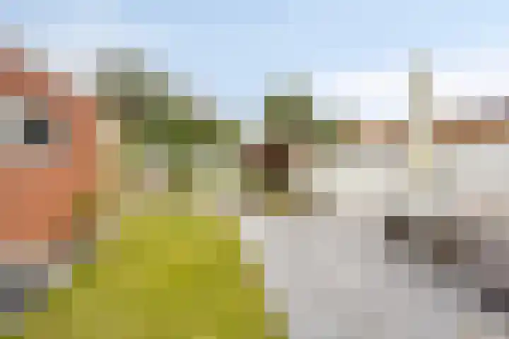 Schout Offermanstraat 3 Roermond thumbnail 36