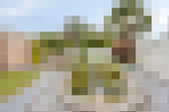 Schout Offermanstraat 3 Roermond thumbnail 39