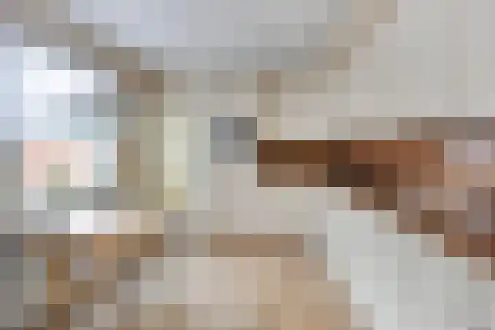 Schout Offermanstraat 3 Roermond thumbnail 4
