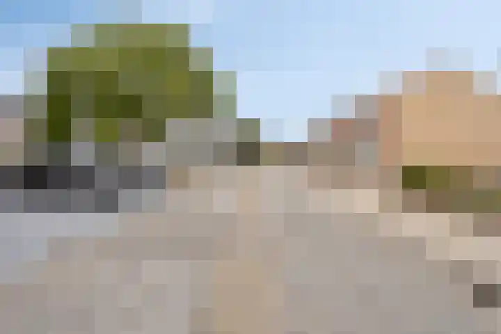Schout Offermanstraat 3 Roermond thumbnail 46