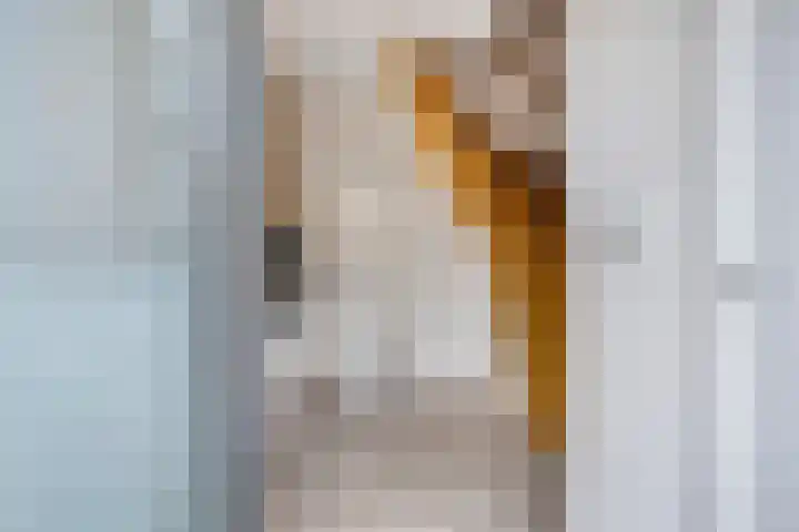 Schout Offermanstraat 3 Roermond thumbnail 6
