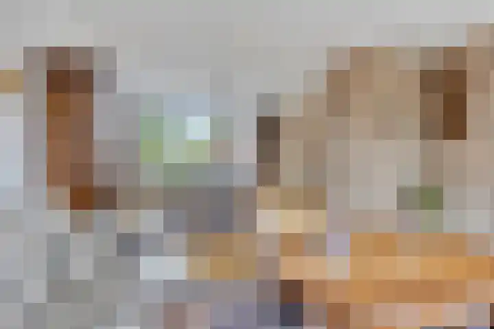 Schout Offermanstraat 3 Roermond thumbnail 8