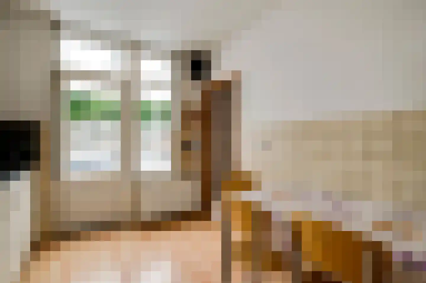 Schout Offermanstraat 49 Roermond thumbnail 8