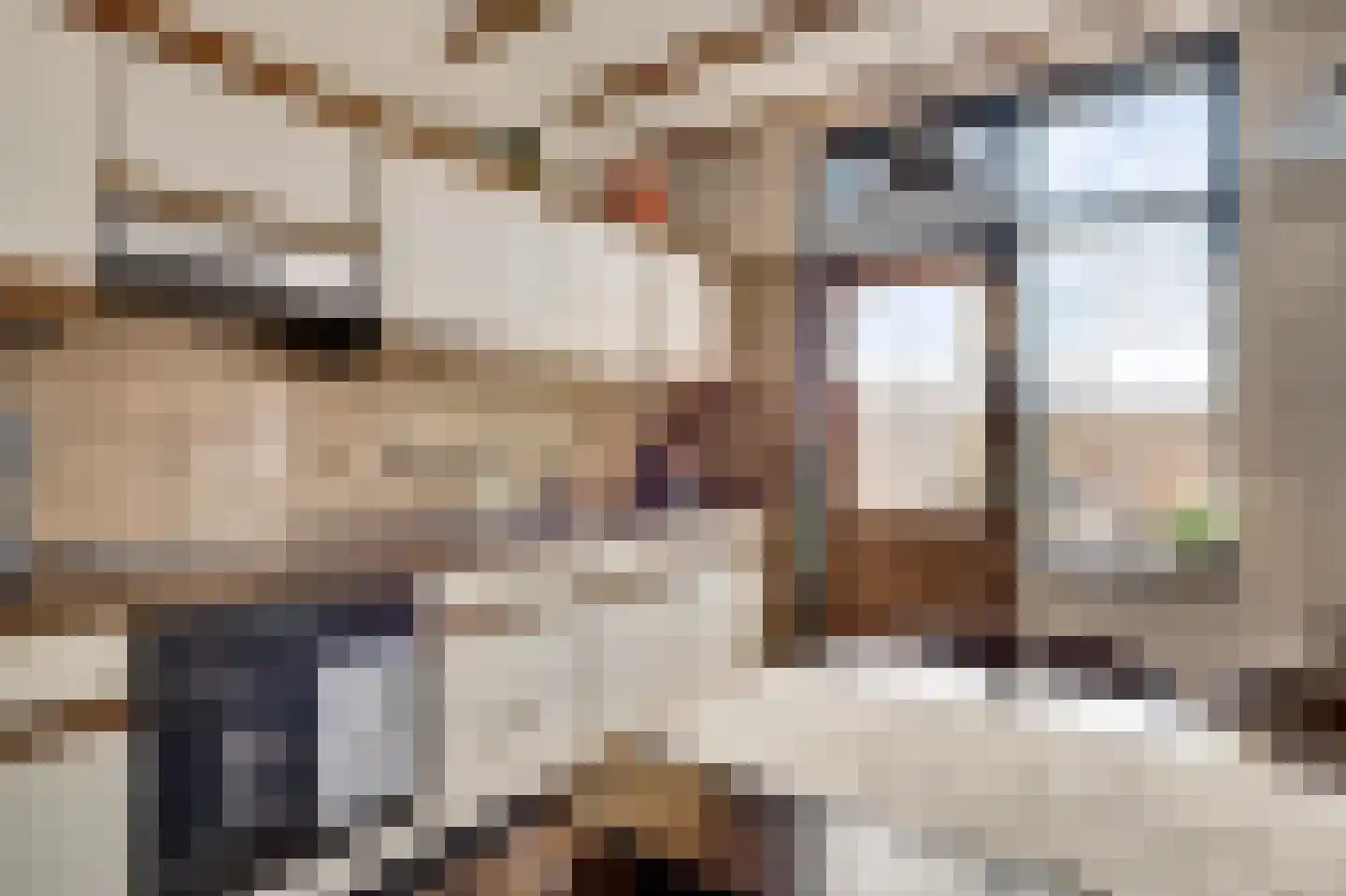 Schout Offermanstraat 59 Roermond thumbnail 16