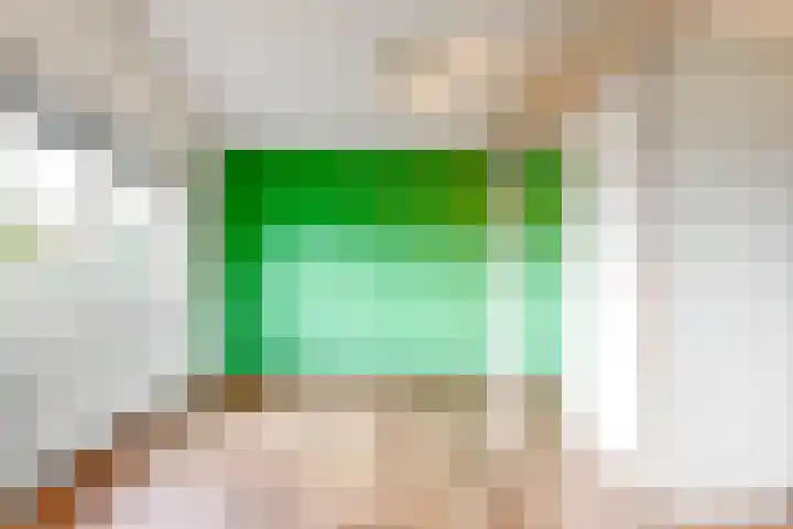 Schout Offermanstraat 60 G Roermond thumbnail 17