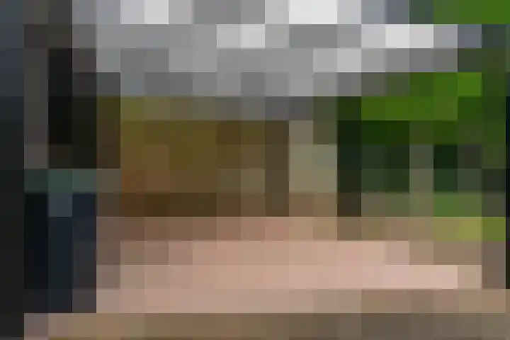Schout Offermanstraat 60 G Roermond thumbnail 21
