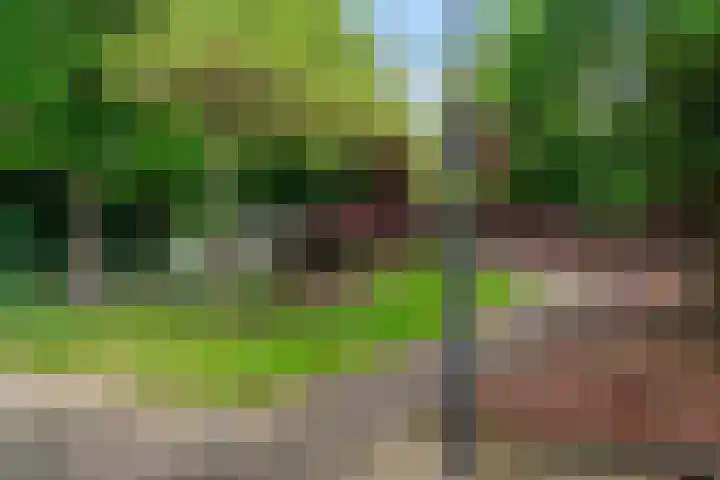 Schout Offermanstraat 60 G Roermond thumbnail 22
