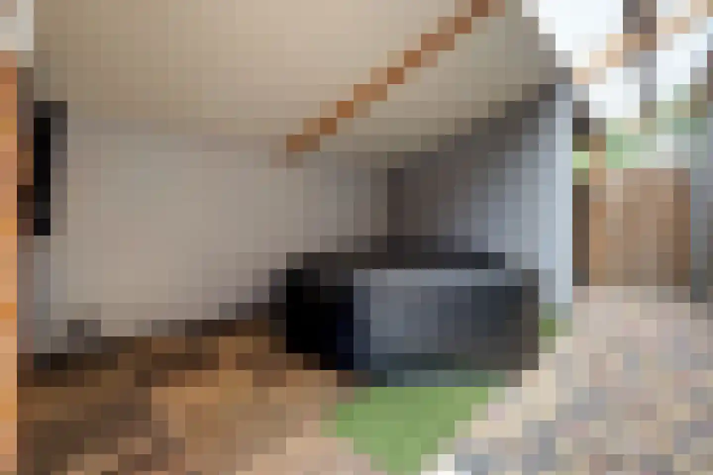 Schout Palspad 18 Hoogvliet Rotterdam thumbnail 32