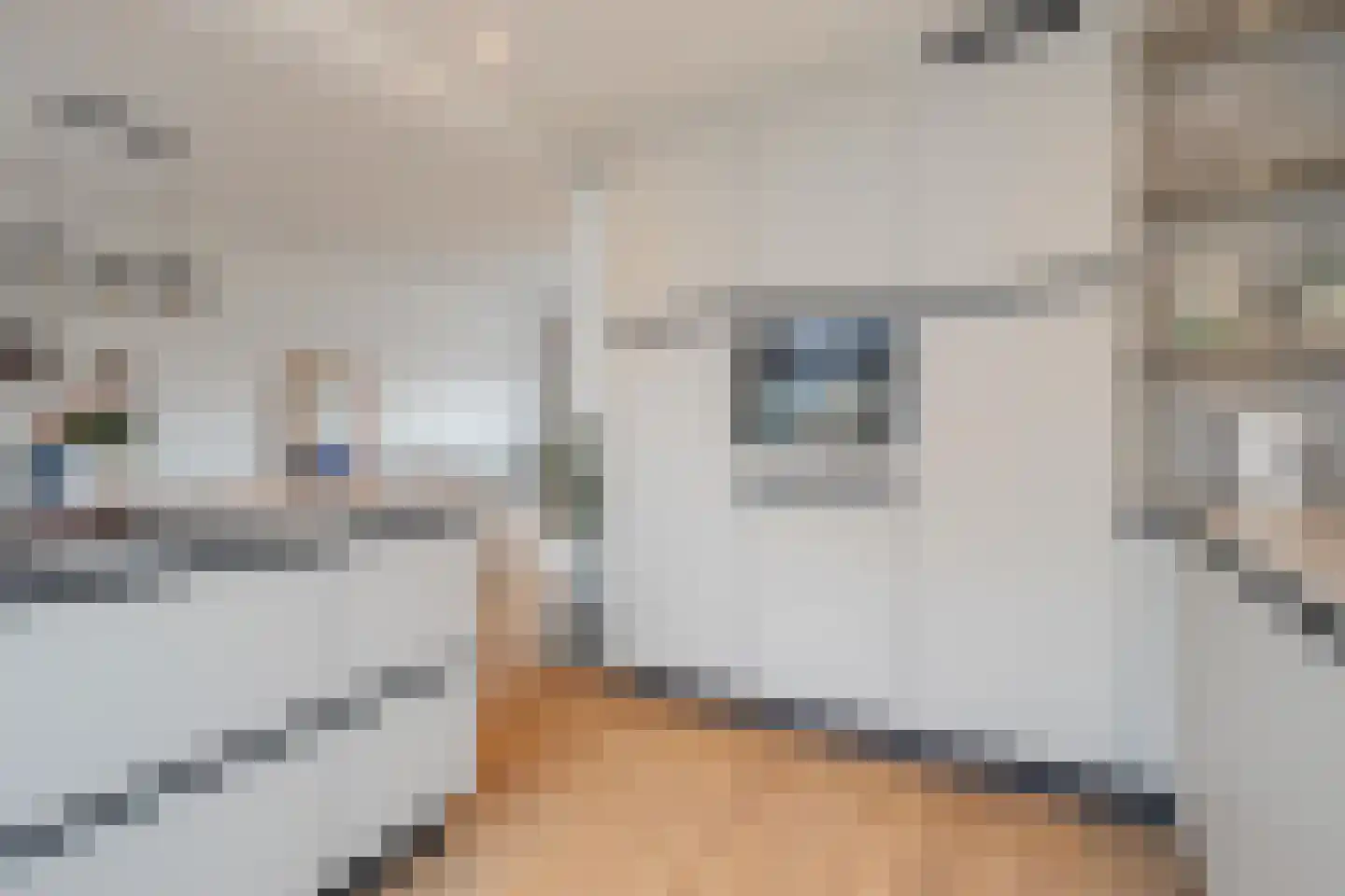 Schout Stasstraat 1 Maastricht thumbnail 5