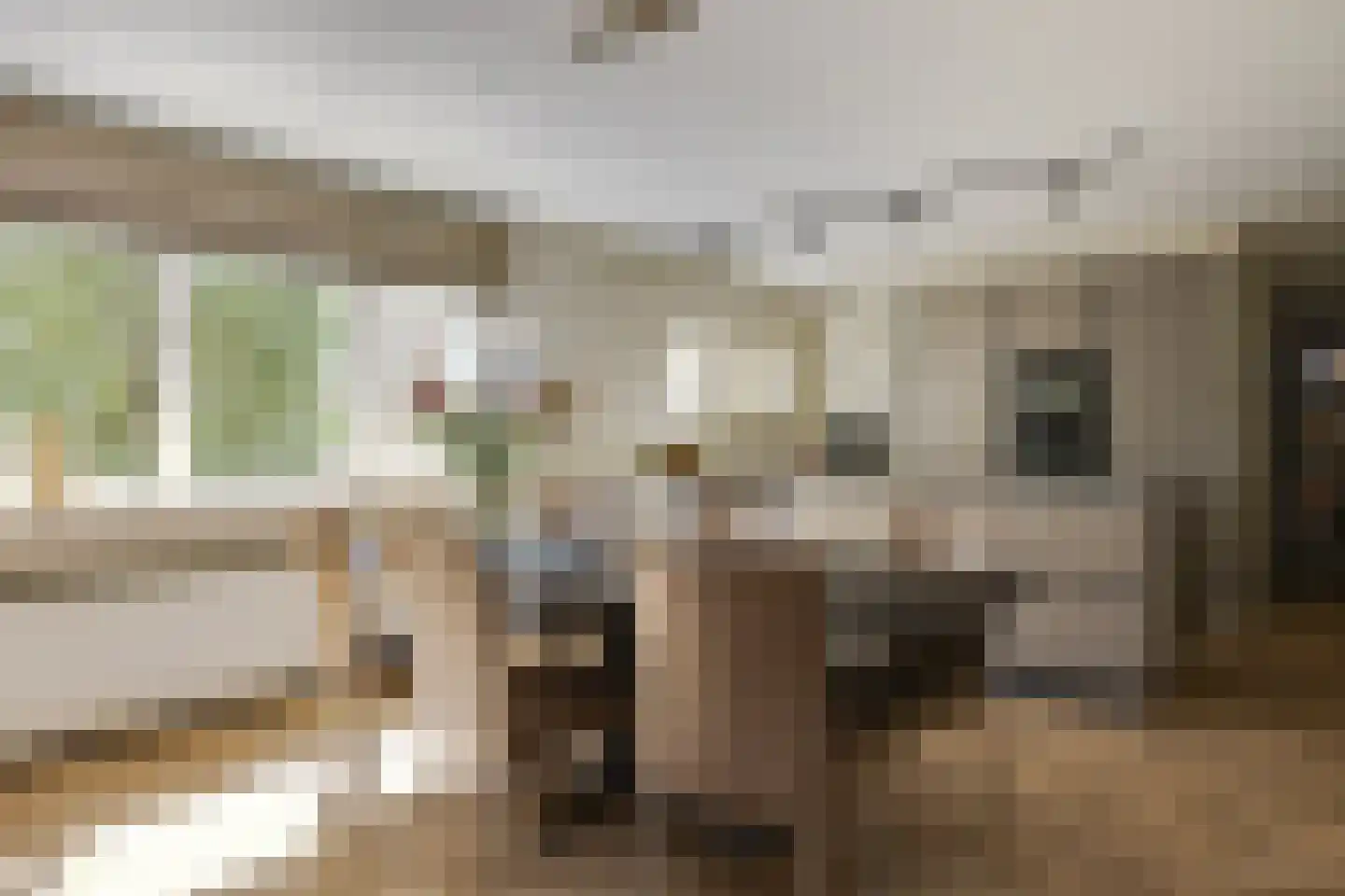 Schout van Bergaignestraat 25 's-Hertogenbosch thumbnail 11