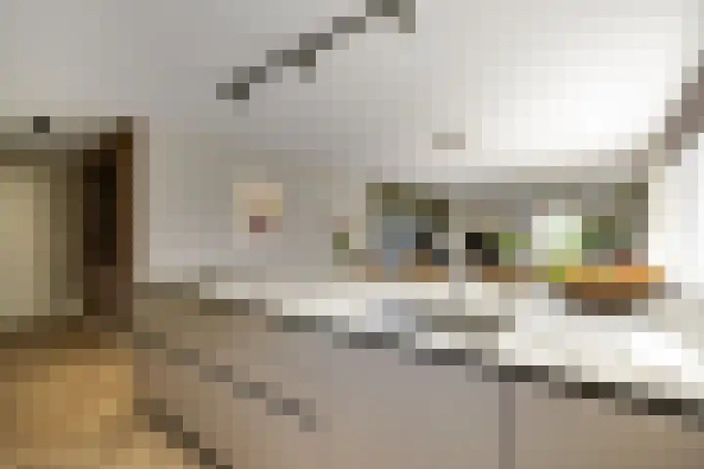 Schout van Bergaignestraat 25 's-Hertogenbosch thumbnail 14