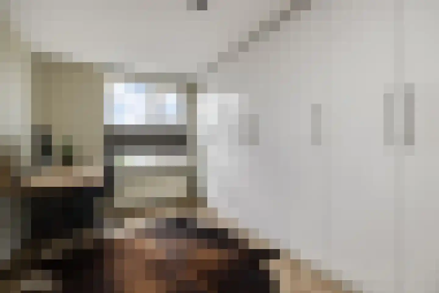 Schout van Bergaignestraat 25 's-Hertogenbosch thumbnail 18
