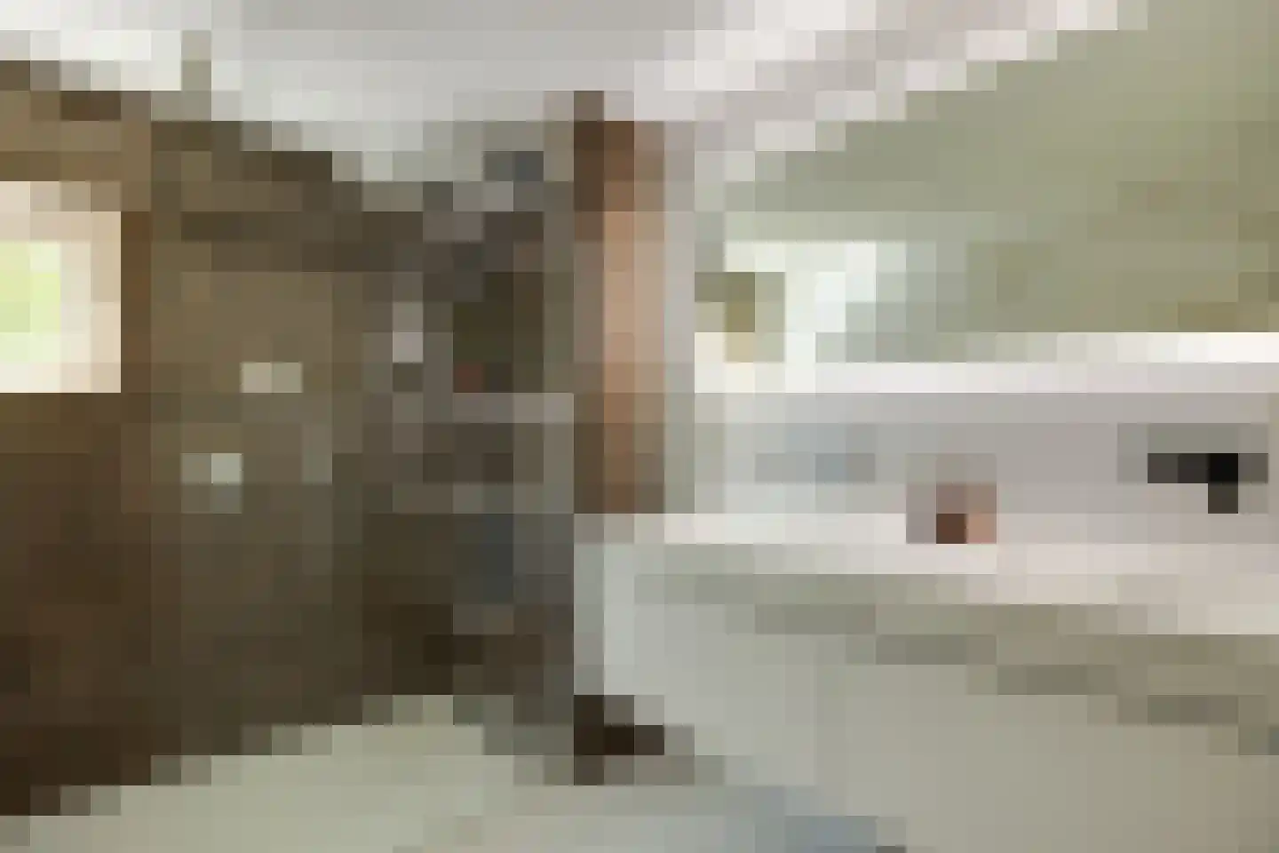 Schout van Bergaignestraat 25 's-Hertogenbosch thumbnail 20