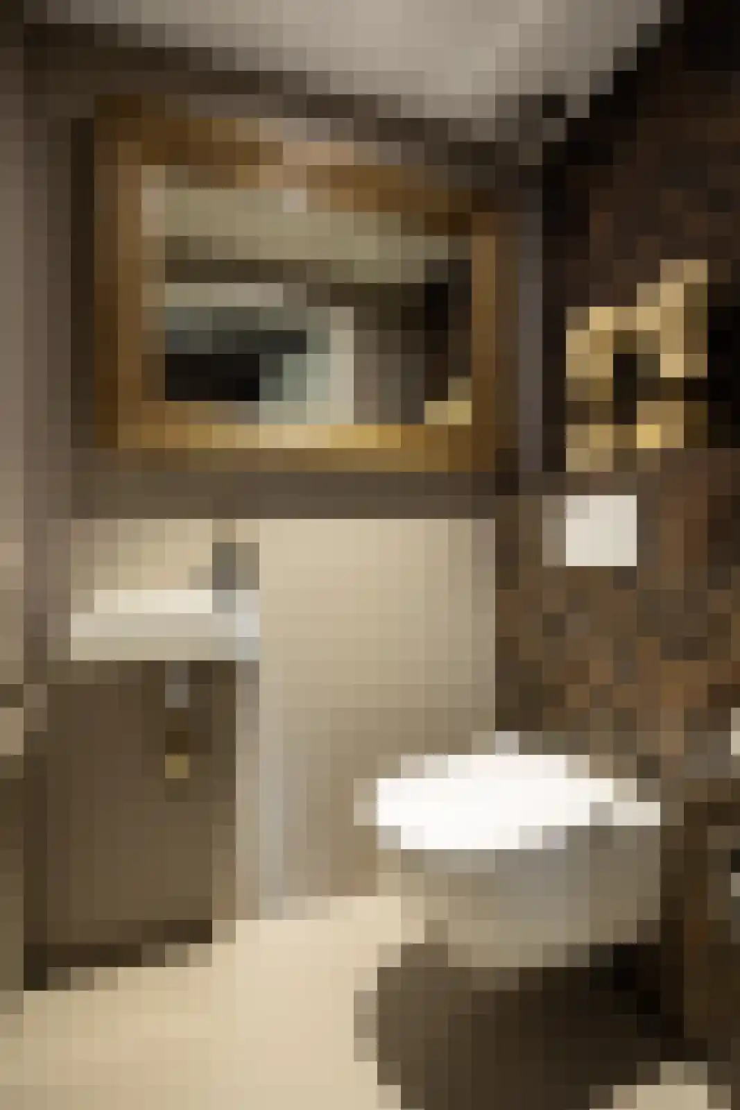 Schout van Bergaignestraat 25 's-Hertogenbosch thumbnail 22
