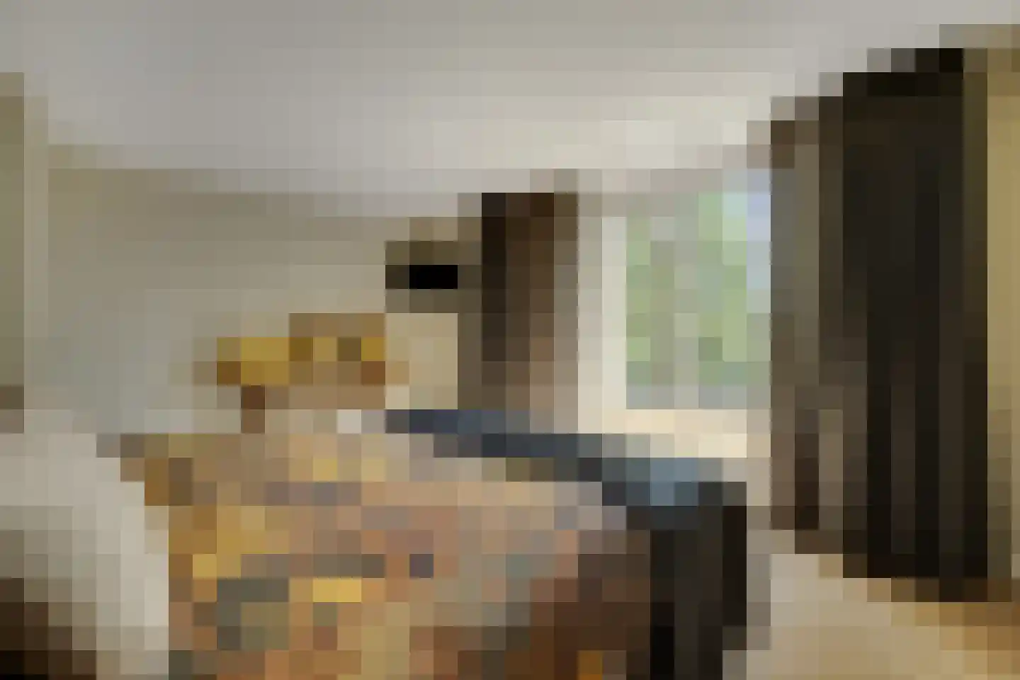 Schout van Bergaignestraat 25 's-Hertogenbosch thumbnail 5