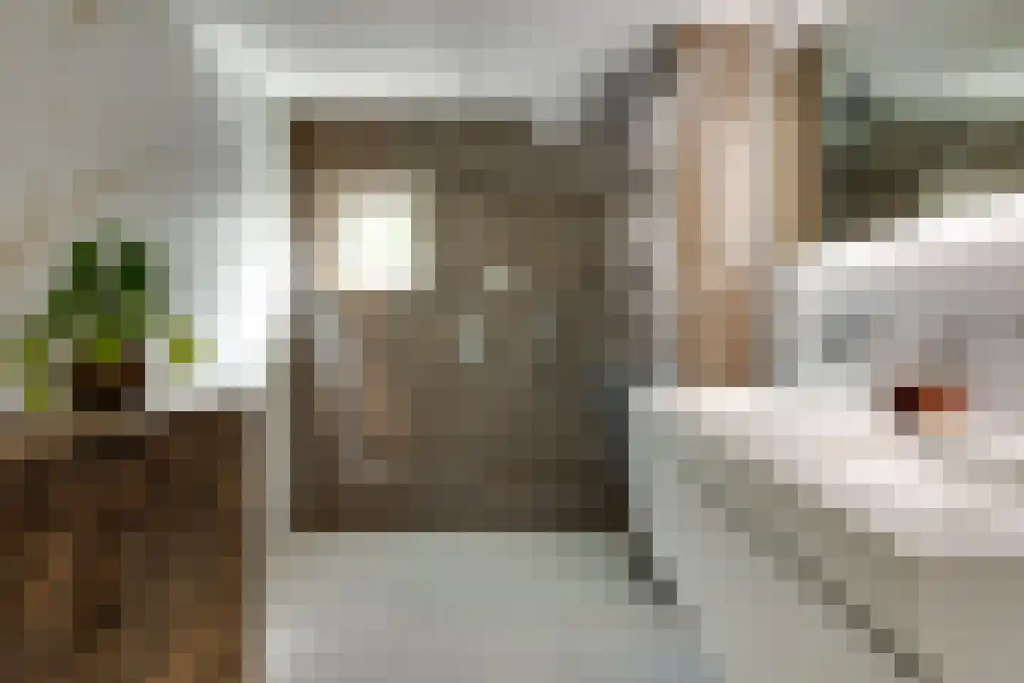 Schout van Bergaignestraat 25 's-Hertogenbosch thumbnail 6