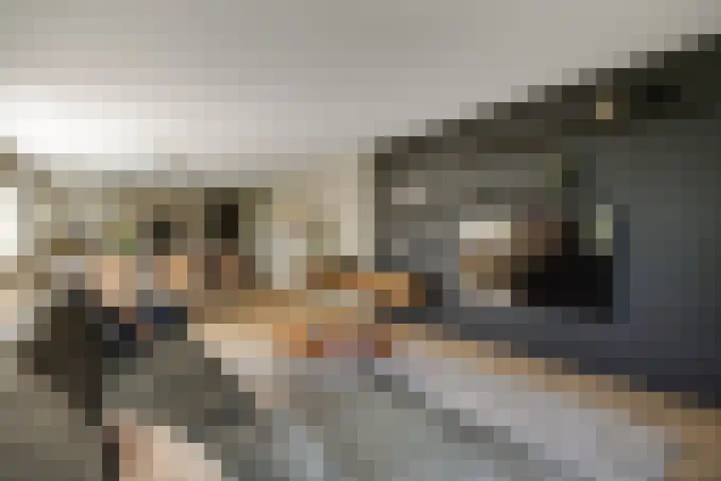 Schout van Bergaignestraat 25 's-Hertogenbosch thumbnail 7