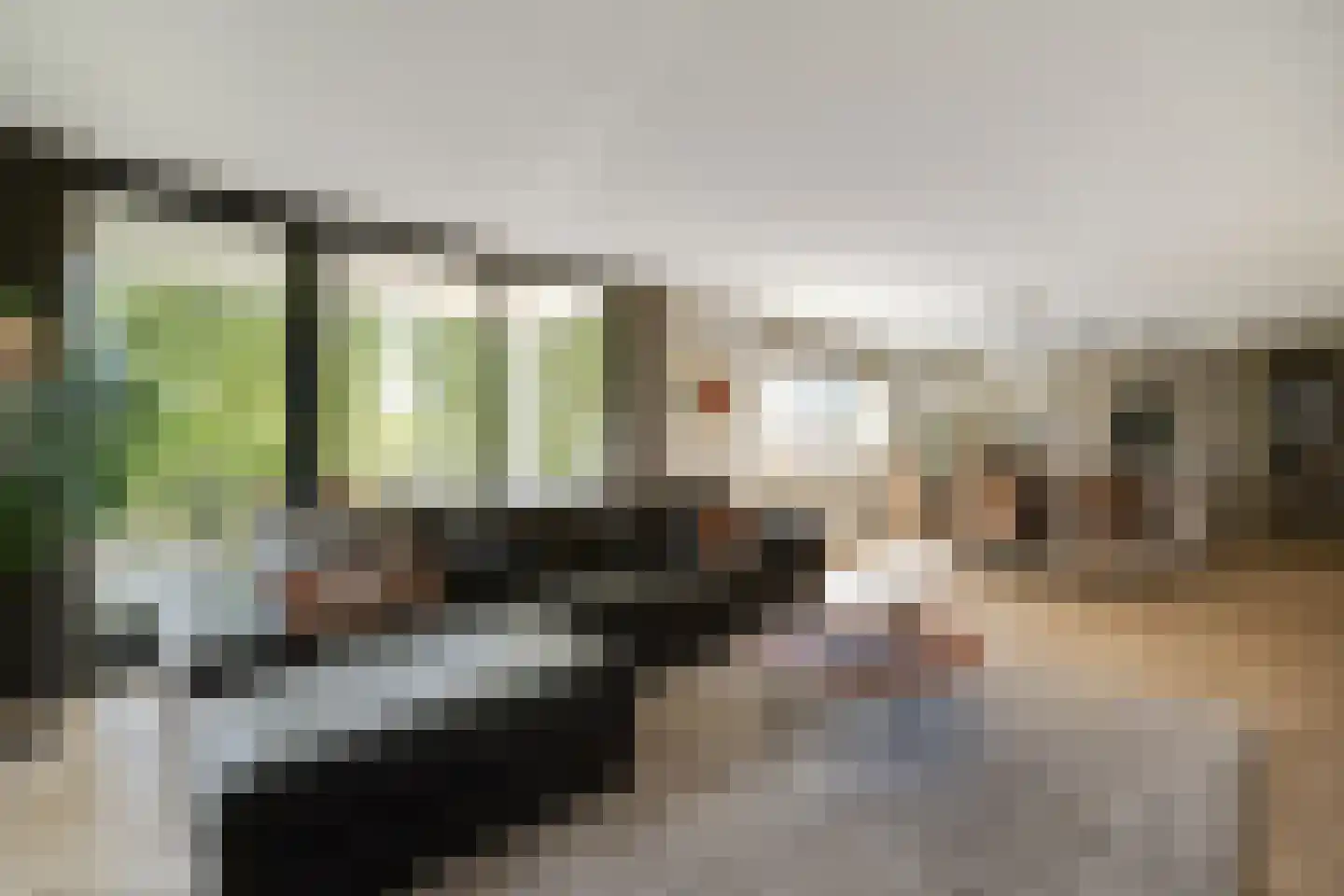 Schout van Bergaignestraat 25 's-Hertogenbosch thumbnail 8
