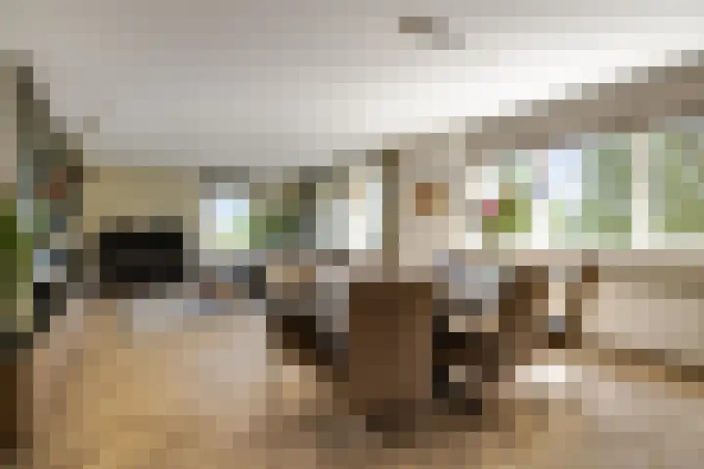 Schout van Bergaignestraat 25 's-Hertogenbosch thumbnail 9