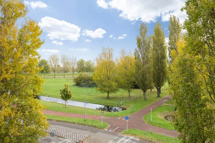 Schout van Bergaignestraat 77 's-Hertogenbosch thumbnail 34